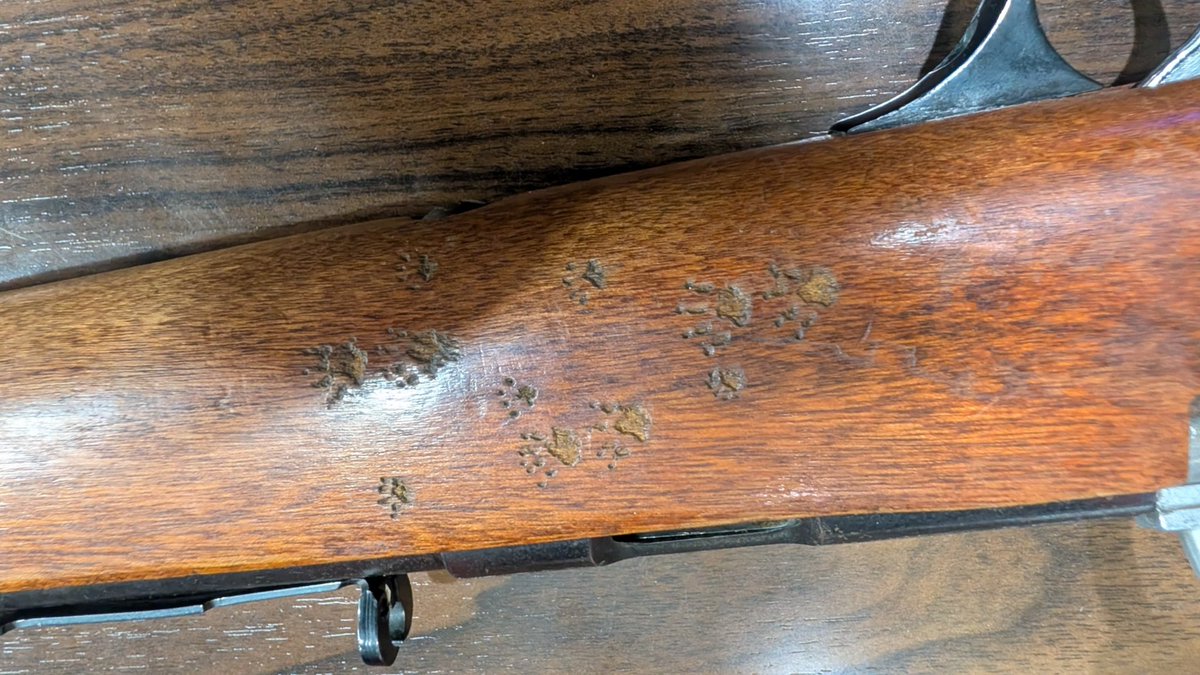 Operator Grizz 🐻🪖| PMC Vtuber | Arms Dealer tweet media