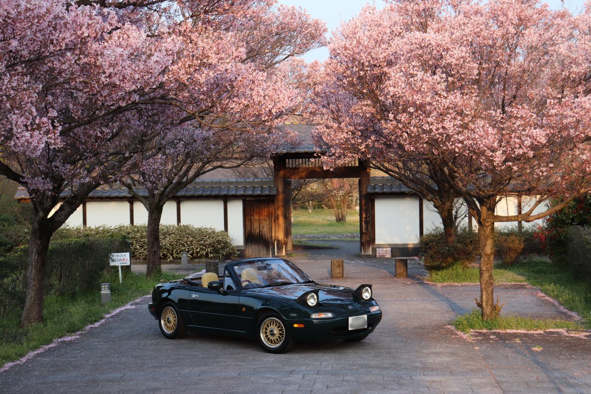 らいふろど tweet media