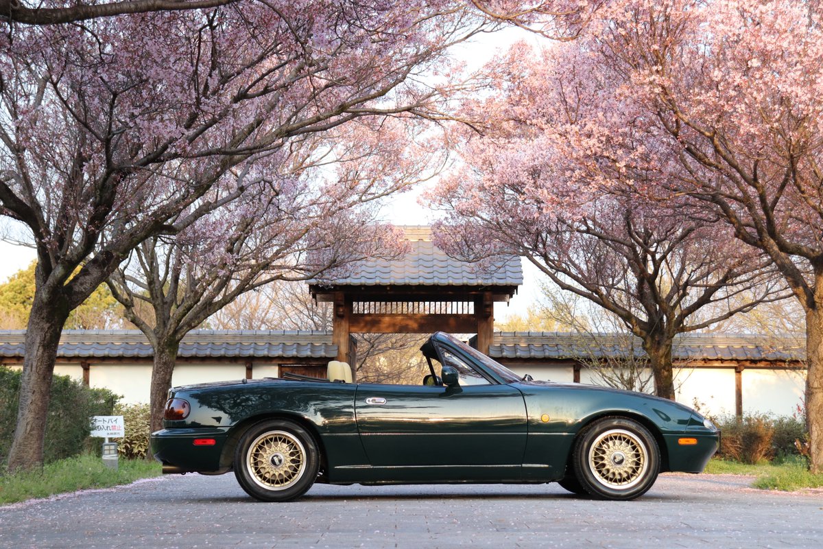 らいふろど tweet media