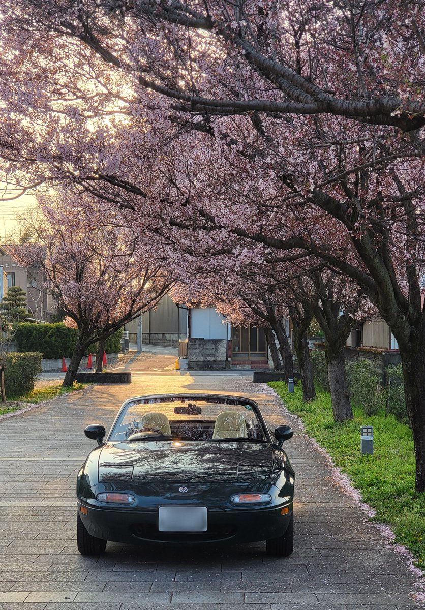 らいふろど tweet media