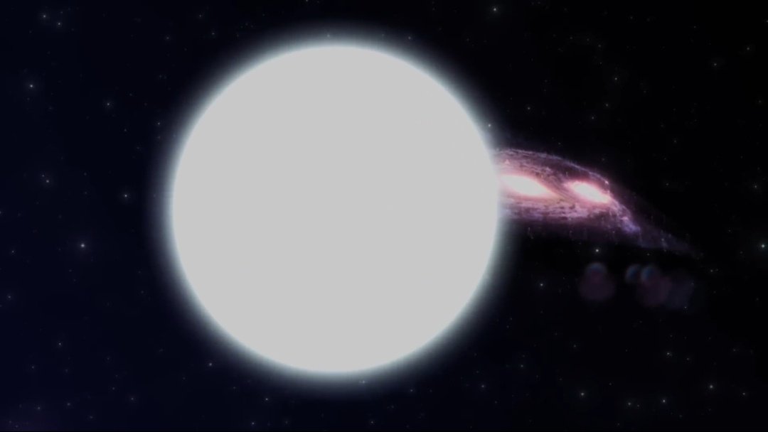 Glay🐾 tweet media