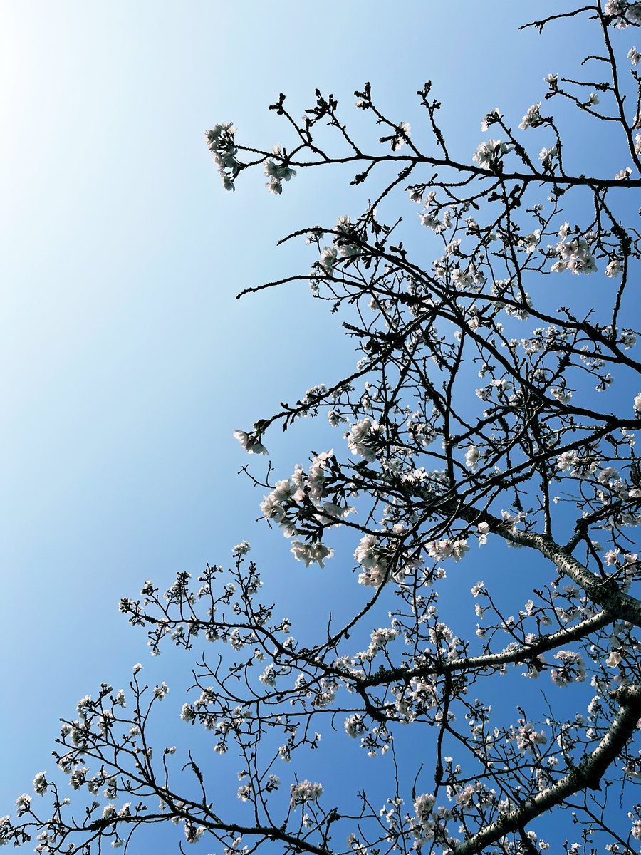 徳久　望 tweet media