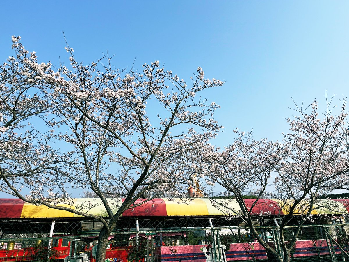 徳久　望 tweet media