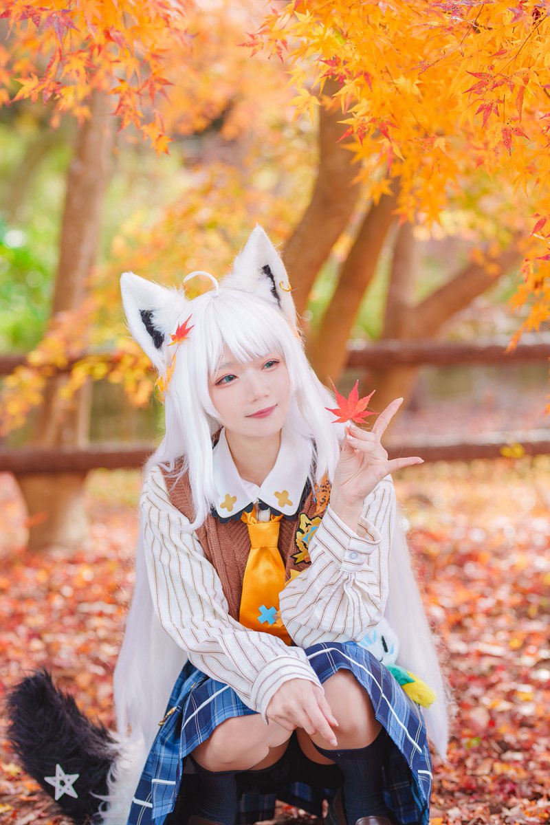 🍁と🦊