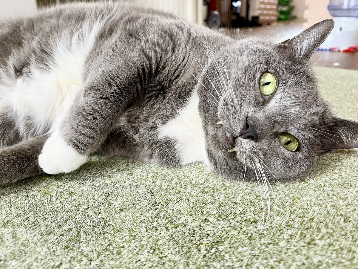 moegi0218@5/5.6 artevarie tweet media