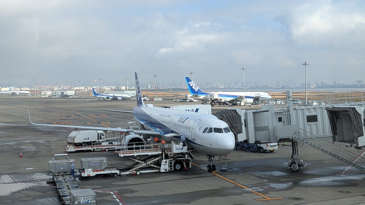 カッパ tweet media