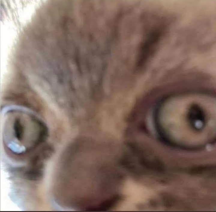 Patroclo, el inmortal. MK-XI🇺🇦🇮🇱🇺🇲 tweet media