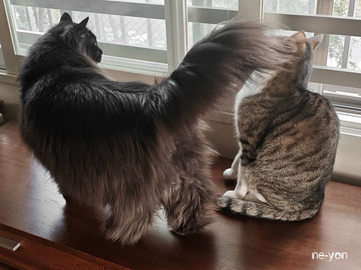 ne−yon tweet media