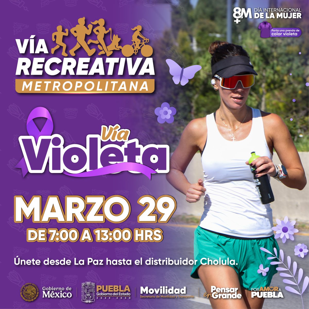 Secretaría de Movilidad y Transporte tweet media