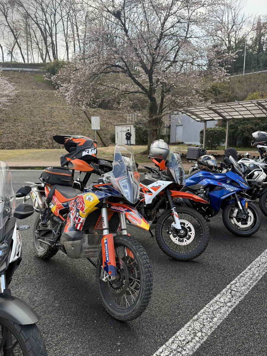 たろう@元ピレンR9T tweet media