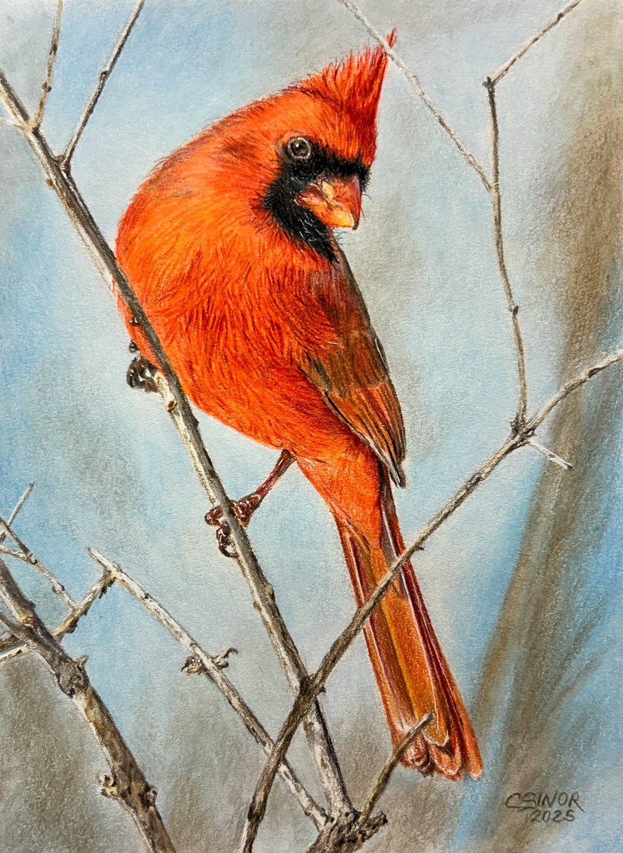 they call me Pencils tweet media