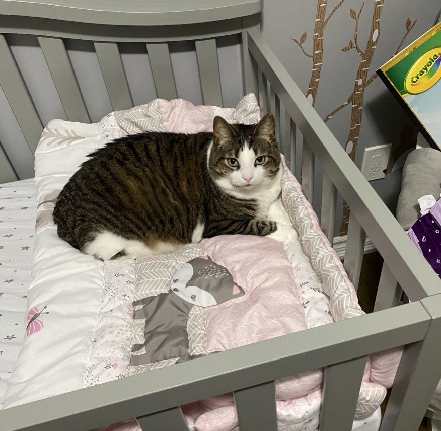 Taylor 💜 tweet media