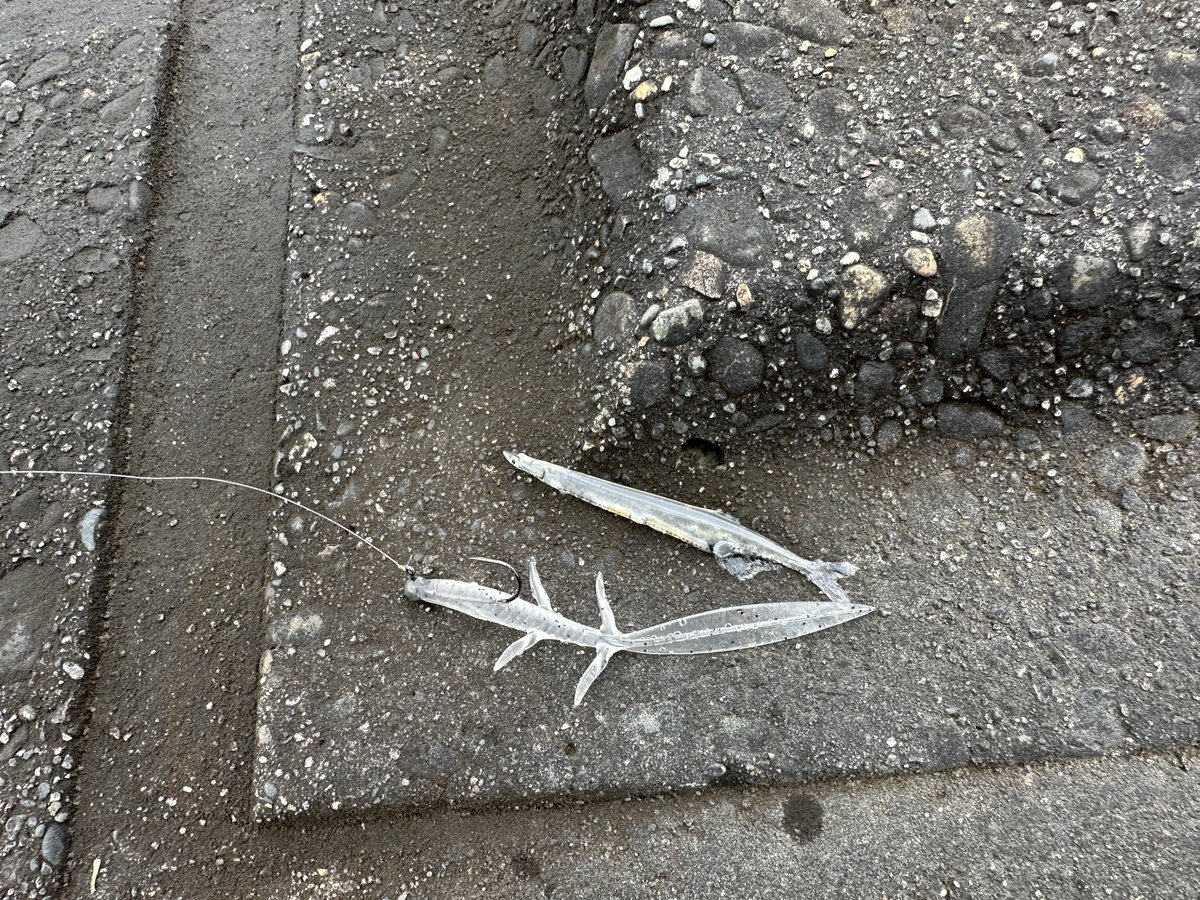 TAKUYA BABAババタク護岸クロー tweet media