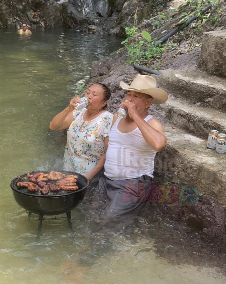 Lic. Willices D. Bolsonaro. tweet media