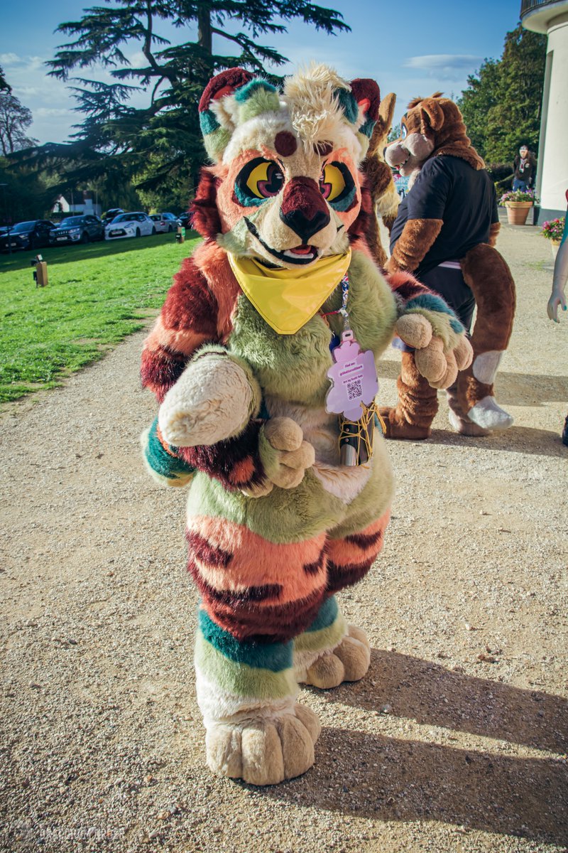 Shark 🔜 CFz26 tweet media