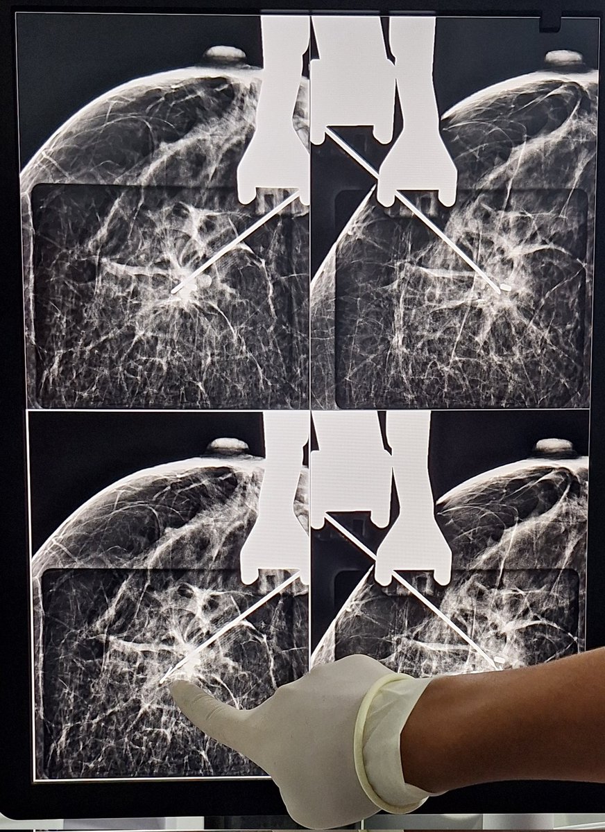 Maybell A. Nieves M. tweet media