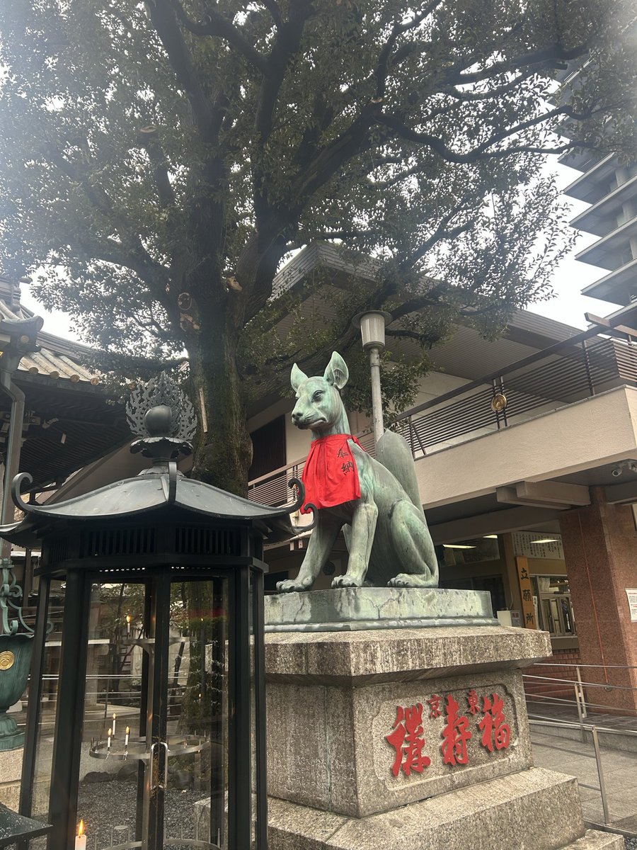 chisa_plus's tweet photo. 載せるの忘れてたシリーズ🦊❤️🦊をあげてこう🧡

まだ2月の寒い日に、今年も母と豊川稲荷に行ってきました❣️❣️

２年連続大凶を引いてたけど、今年は吉でした🥰

たしかに、上向いてる感ある〜😂✨✨

やばいレベルの経験いくつかあったからね😭でも結果的に勉強と成長と飛躍に繋がる気がする🌸 https://t.co/PusjmjZH2T