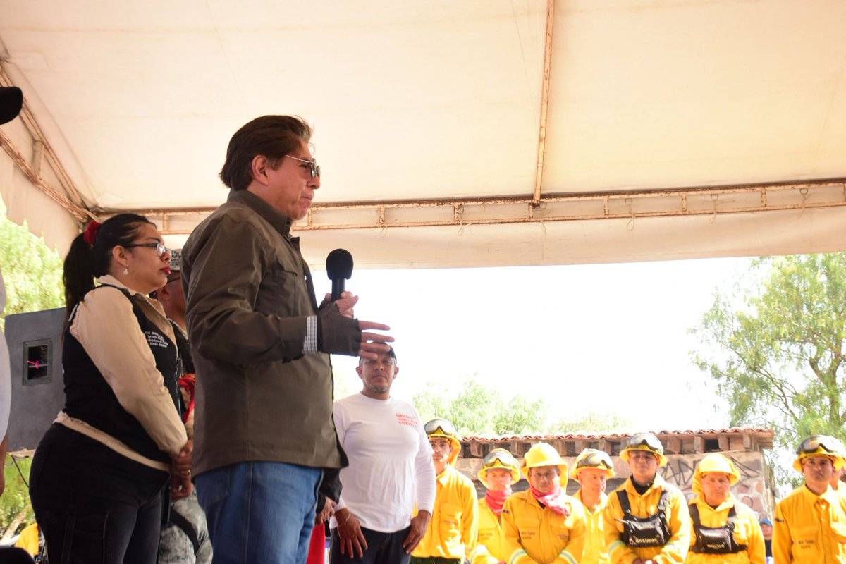 PROBOSQUE tweet media