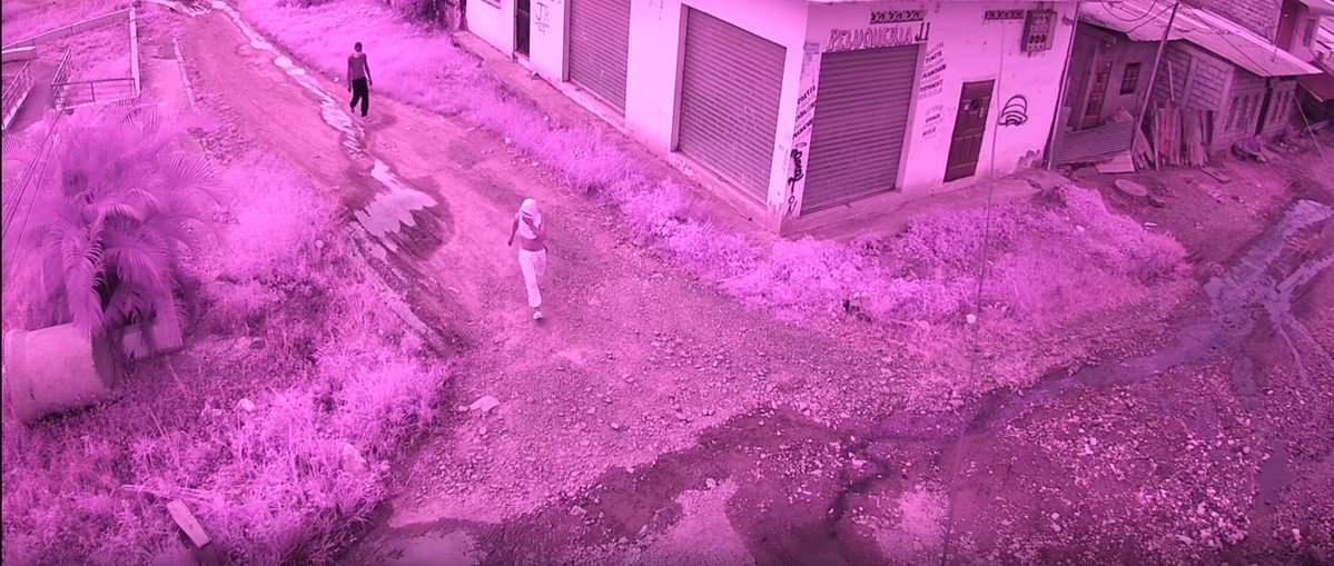 Segura EP - C5GYE tweet media