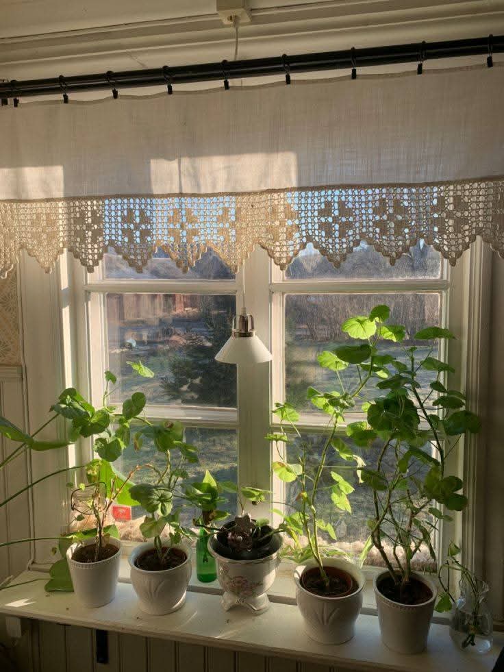 Mariam • tweet media