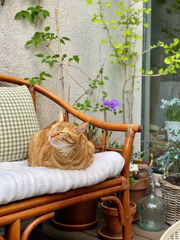 Mariam • tweet media