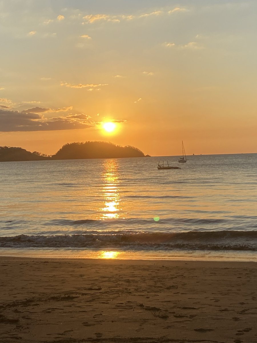 Merch Girl tweet media