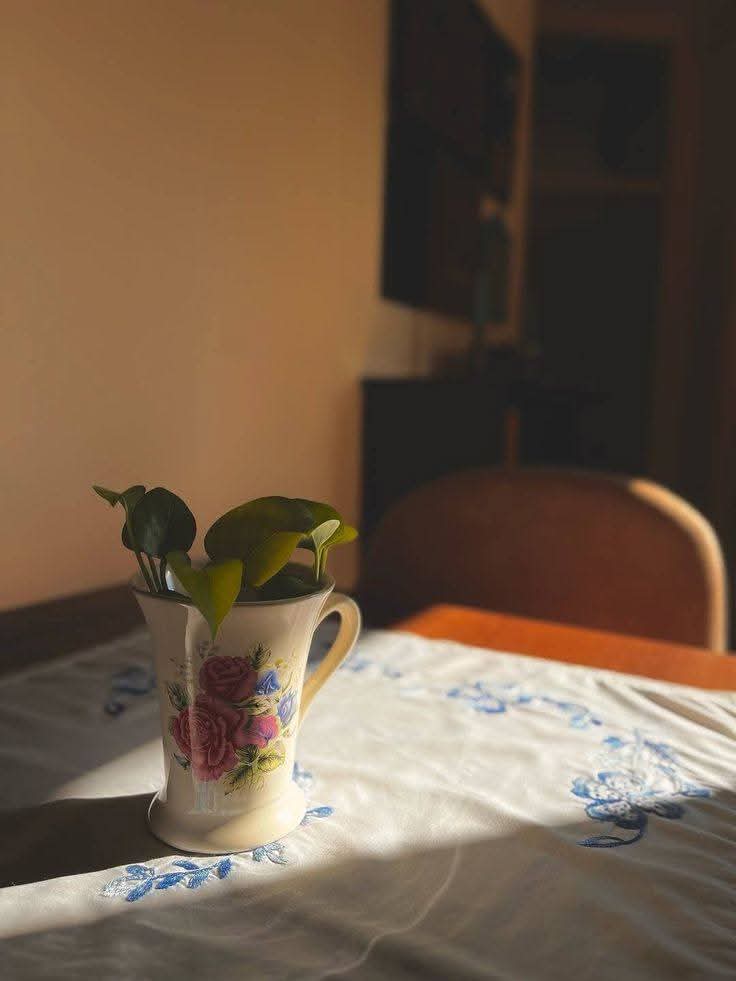 Mariam • tweet media