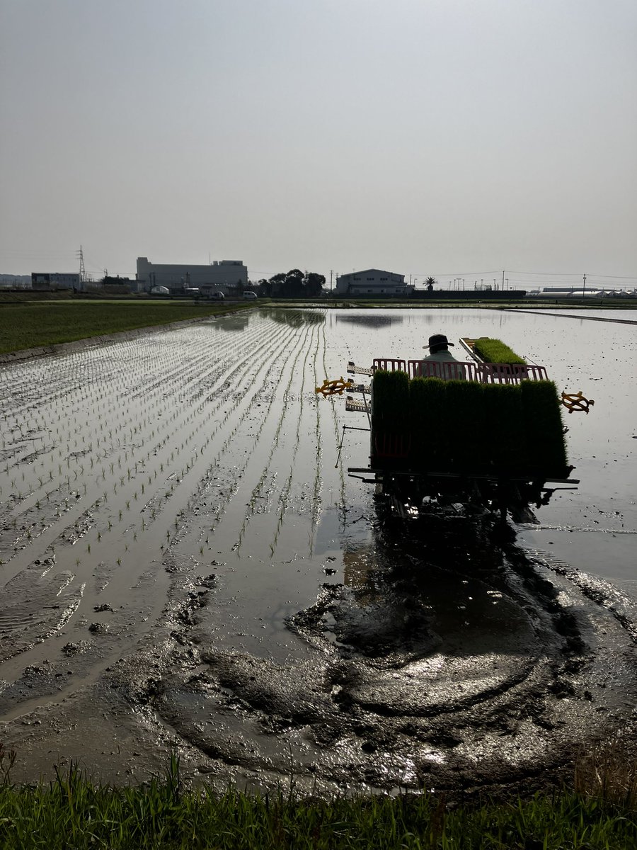 西都のマチャ tweet media