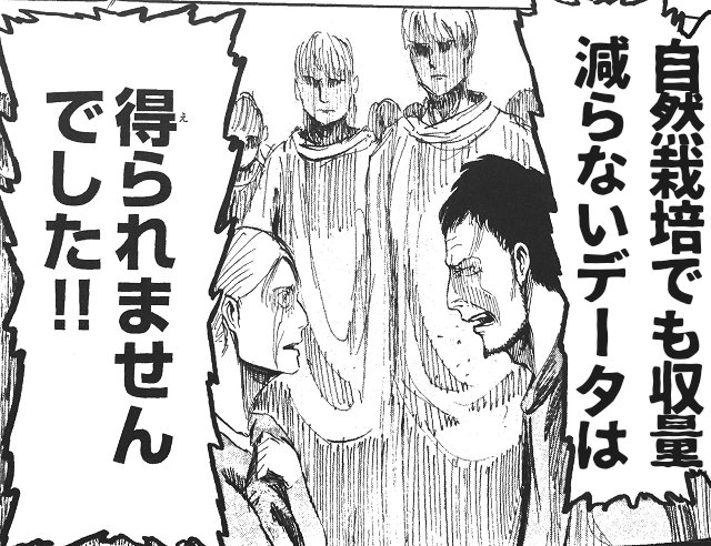 マスタードンキー　🟠最近阿呆気味 tweet media