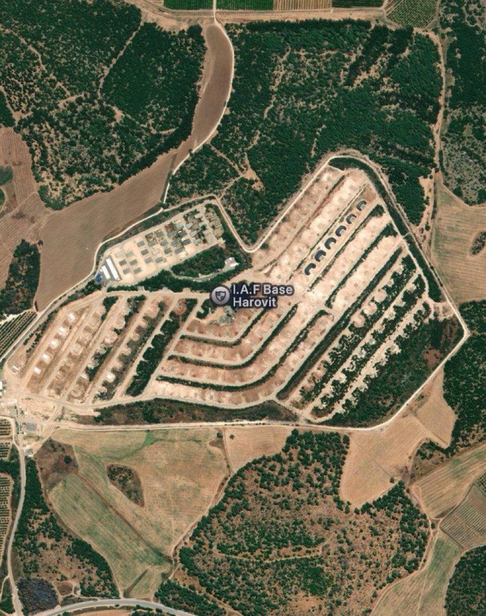 Ethan Levins 🇺🇸 tweet media