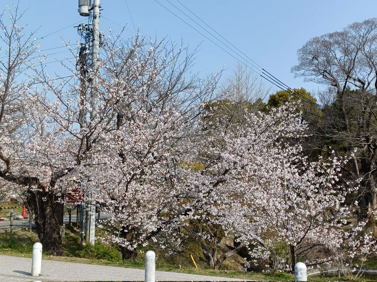 みっくん 🏍 tweet media