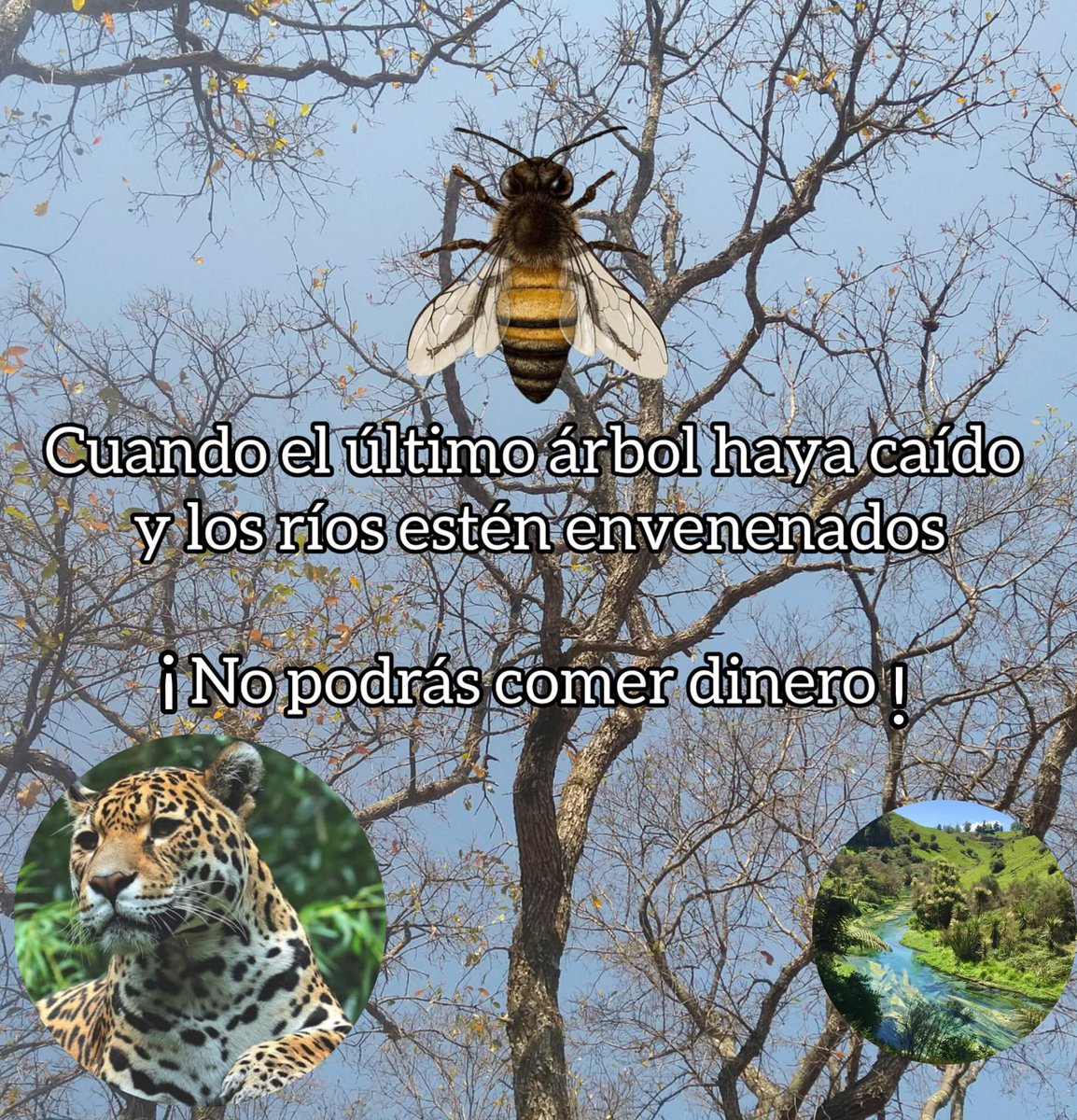 M O T I V A N D O T E (@m0tivand0te) on Twitter photo 