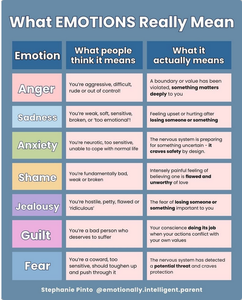 NarcissistBox's tweet image. #emotions #anger #shame #jealousy