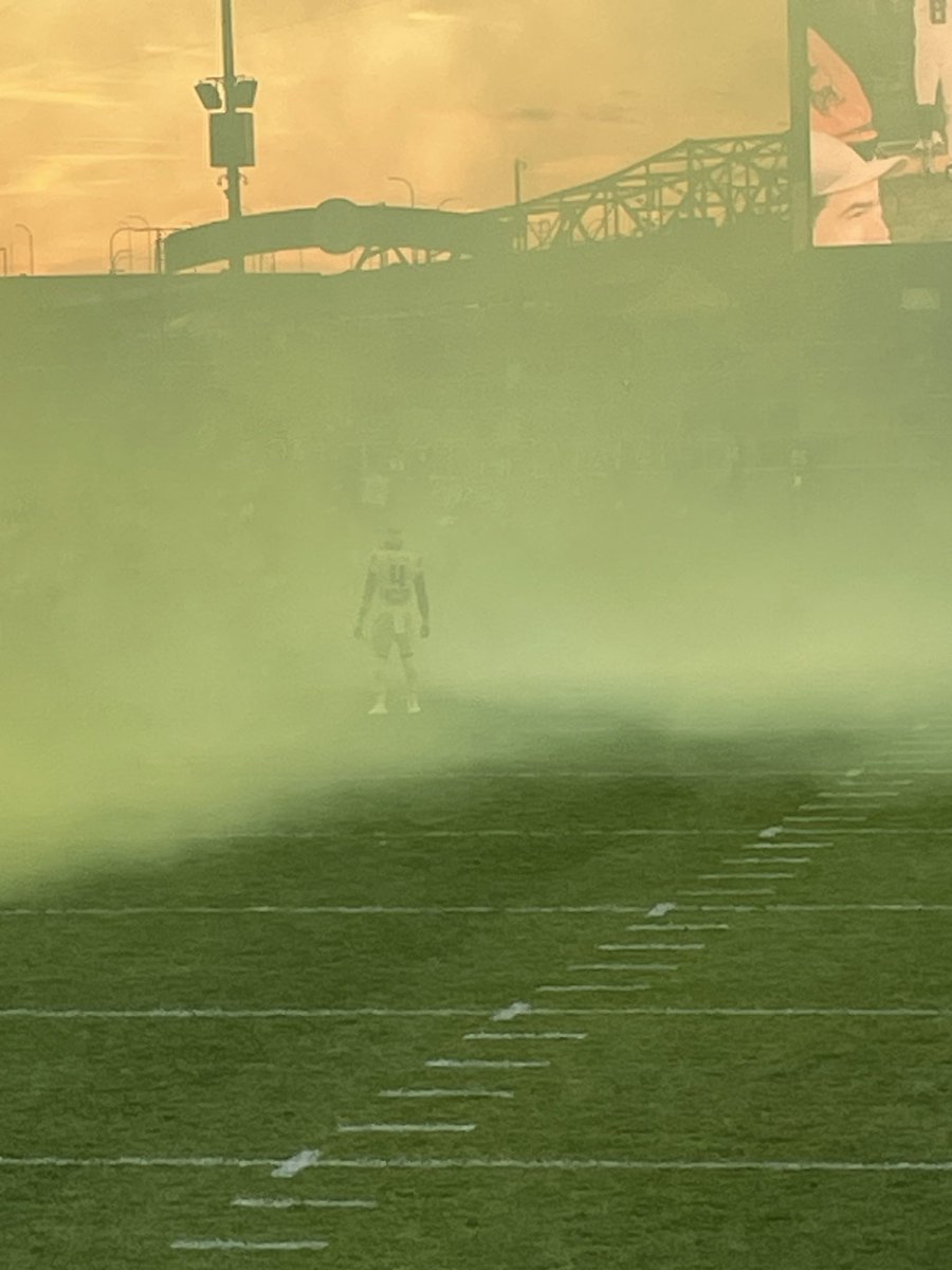 Birmingham Stallions Shirtless Section tweet media