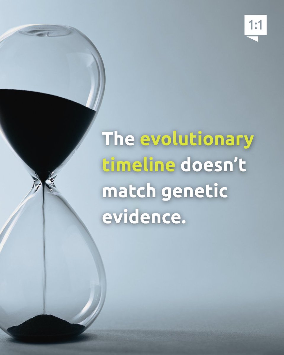 Answers in Genesis tweet media