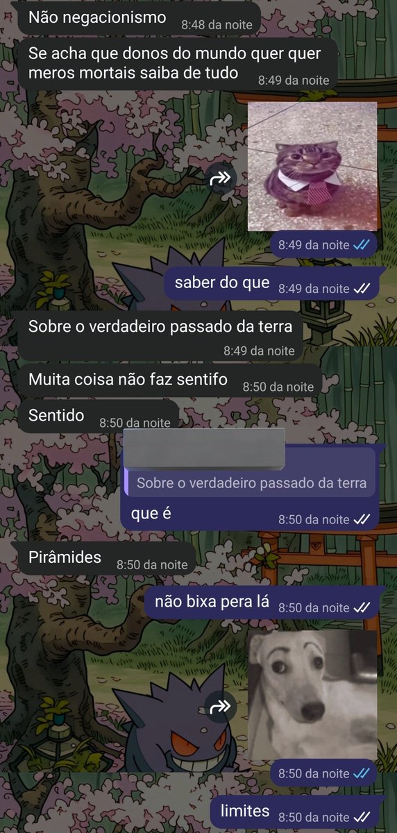 nico o agenero louco tweet media