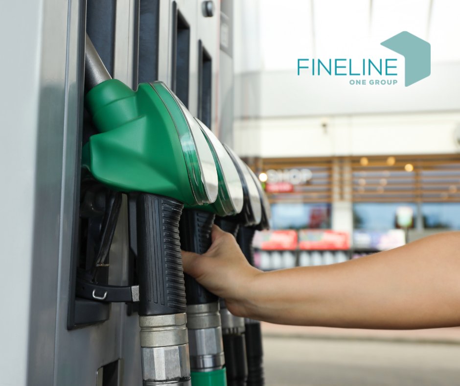 Fineline Windows tweet media