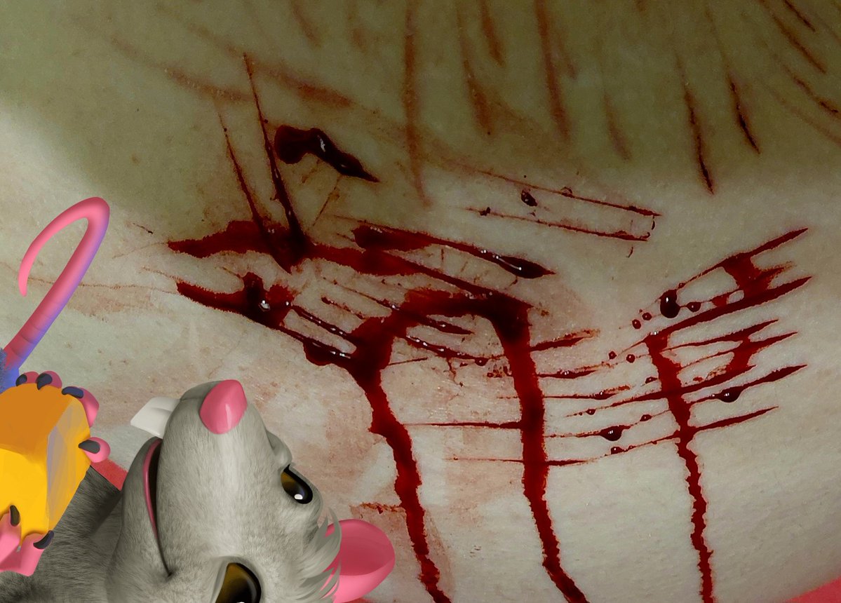 fem ritsu of shtwt ₍^. .^₎⟆ tweet media