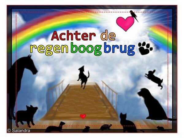 Moon140869 tweet media