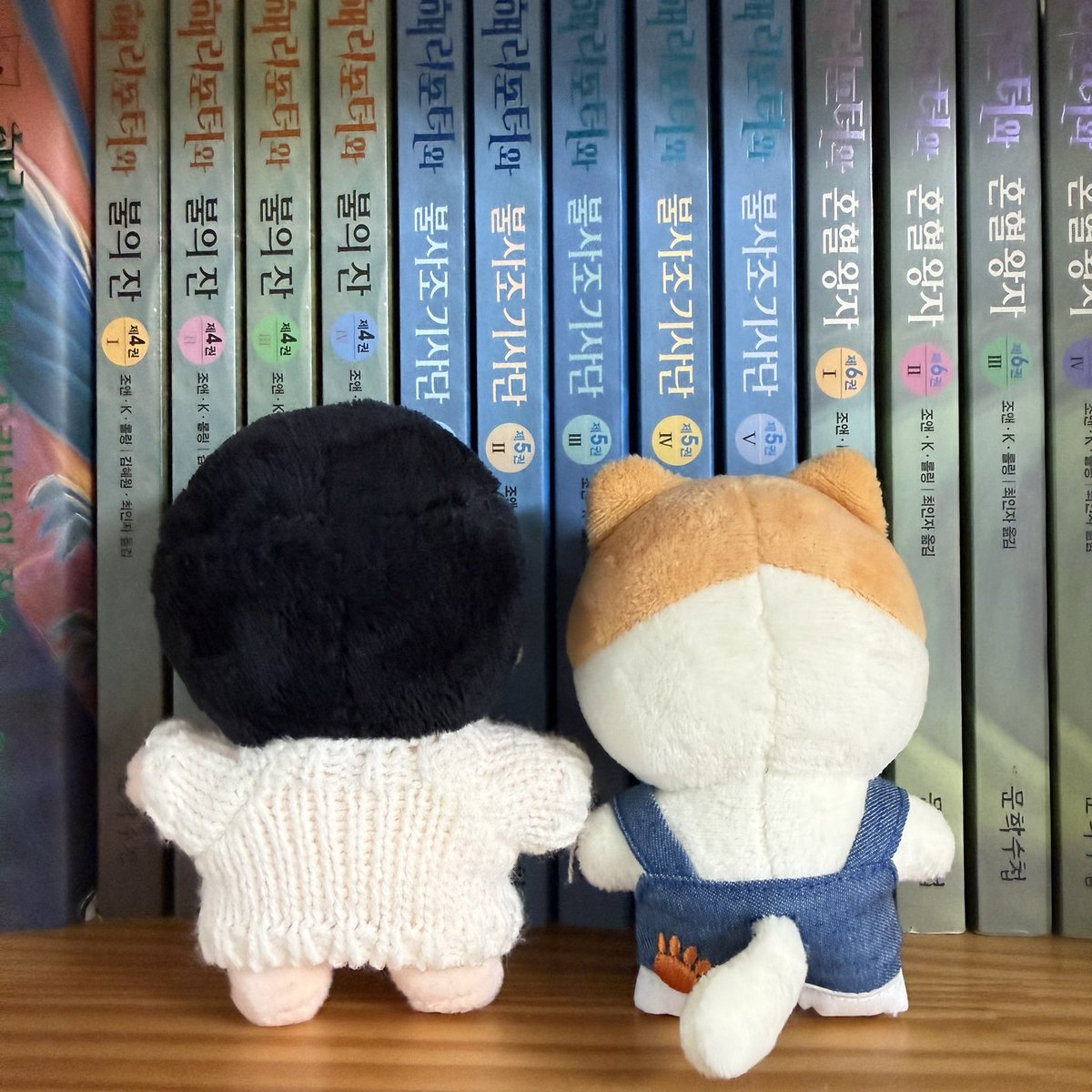 포라라 tweet media