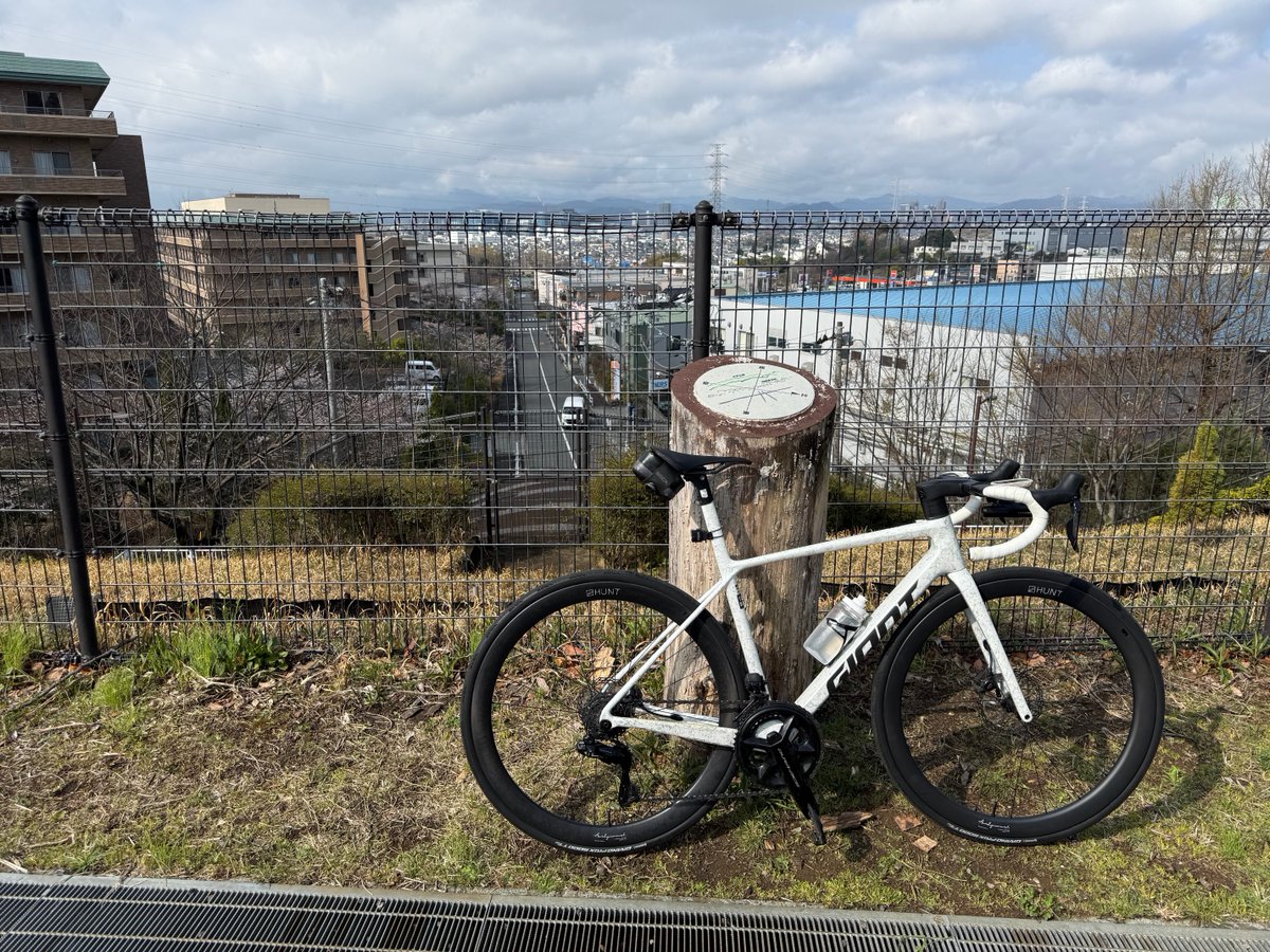 さぼてんばたけ tweet media