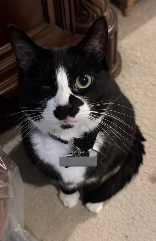 fishwizard99 🦭 tweet media