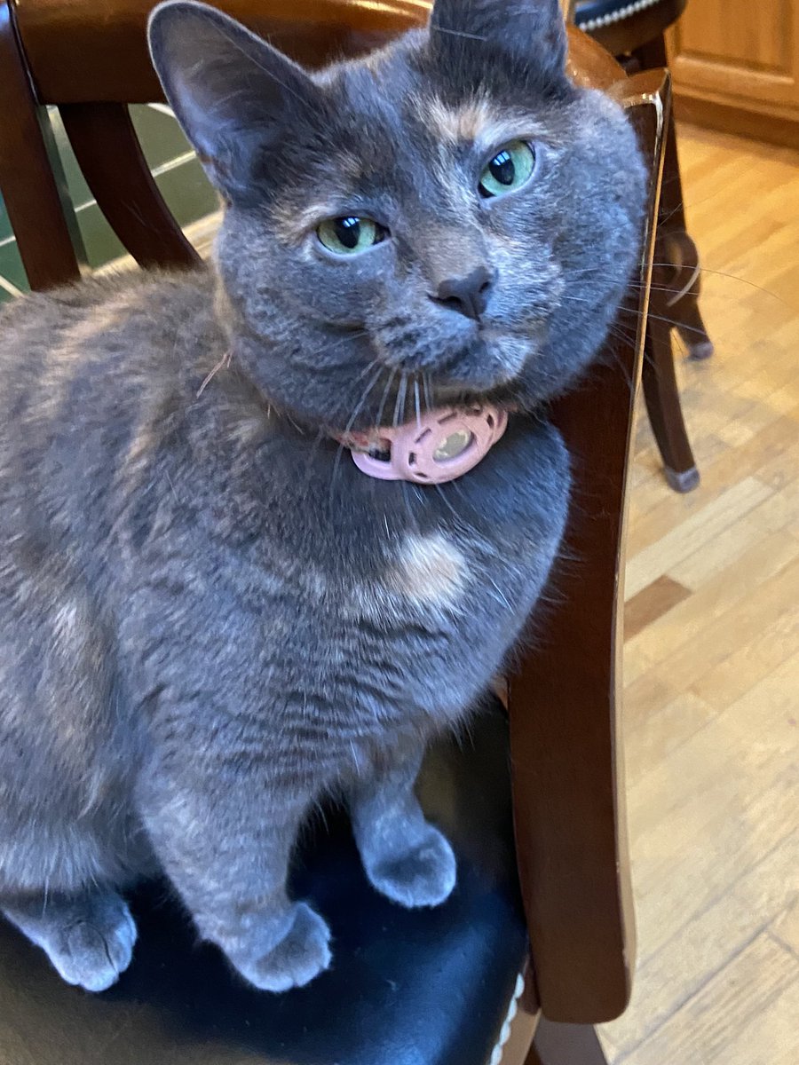 fishwizard99 🦭 tweet media