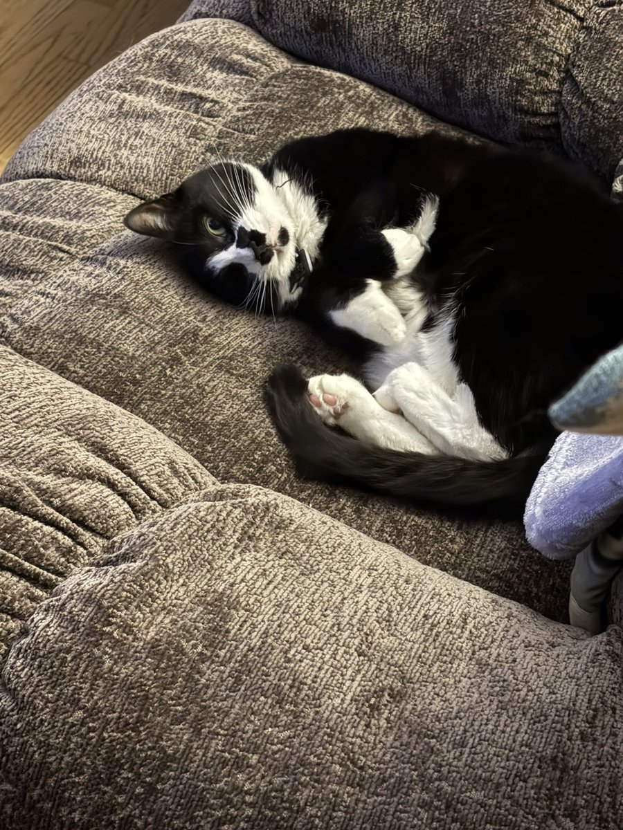 fishwizard99 🦭 tweet media