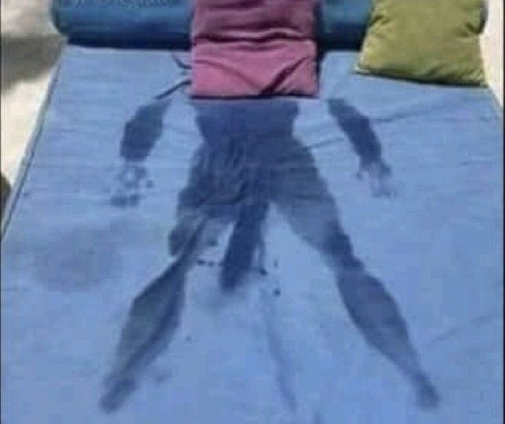 Davizão??????? tweet media