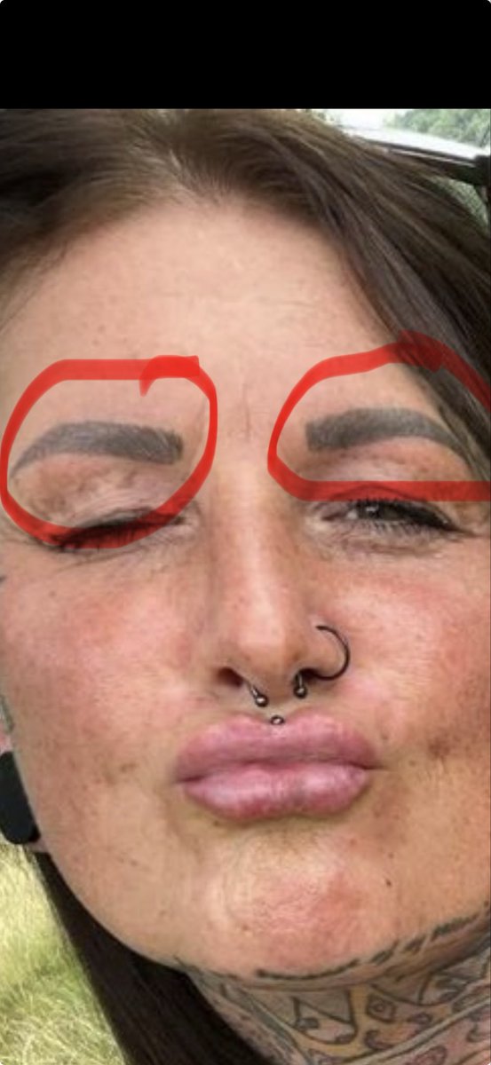 The Truth tweet media