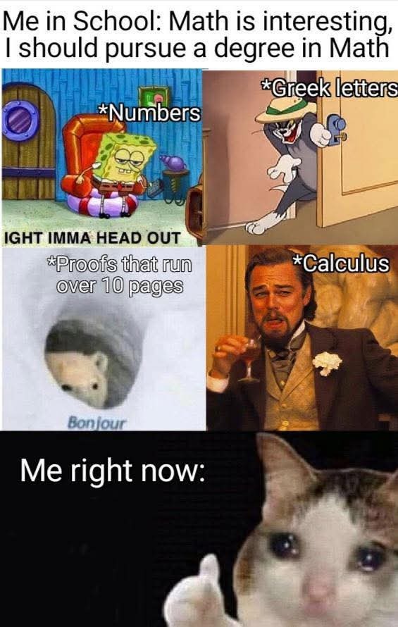 DankMeme.com tweet media