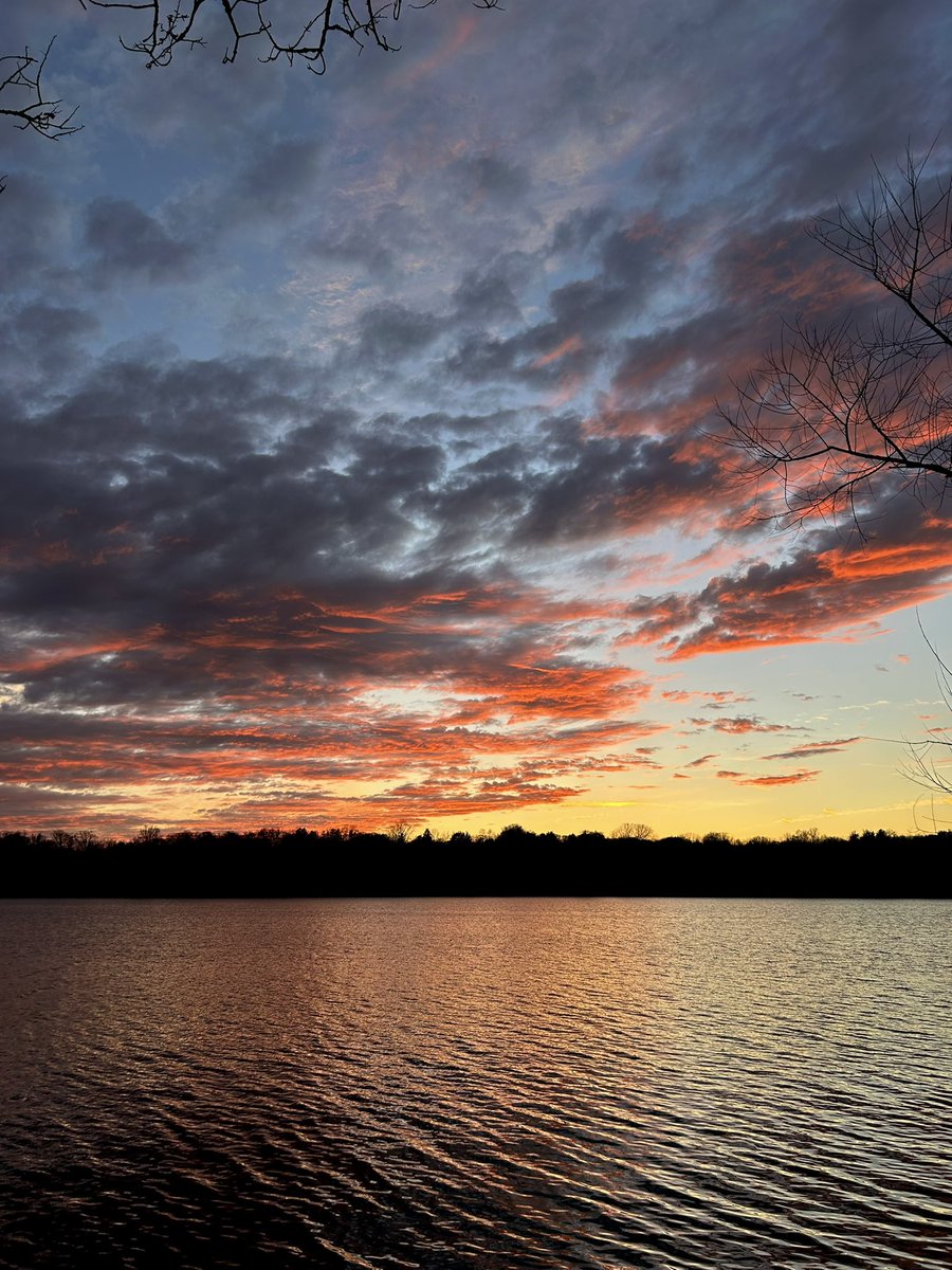 Bonerfide Killer🌺 tweet media