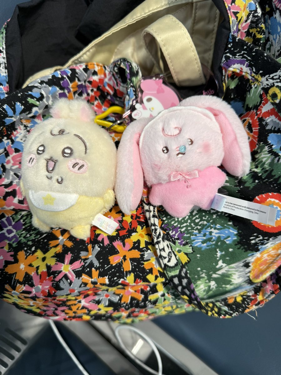 行ってきます✨