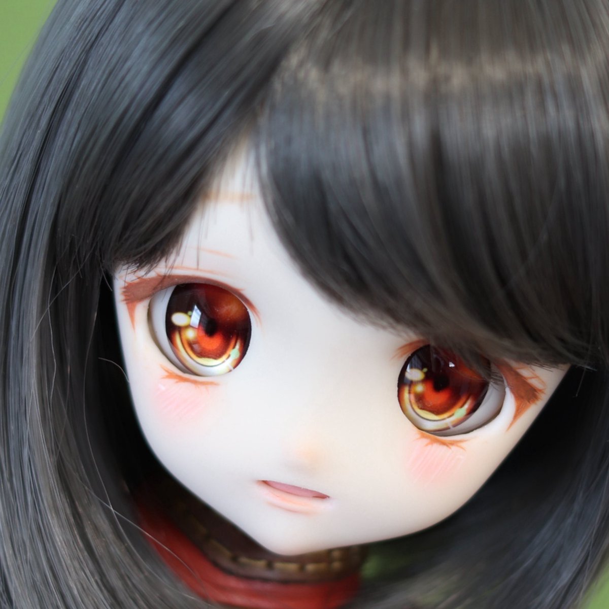 あのぉ… ちょっとお困り顔の22番ちゃんヤフオク出品中♡優しいお家探し 